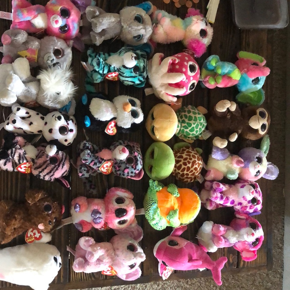 Beanie boo bundle